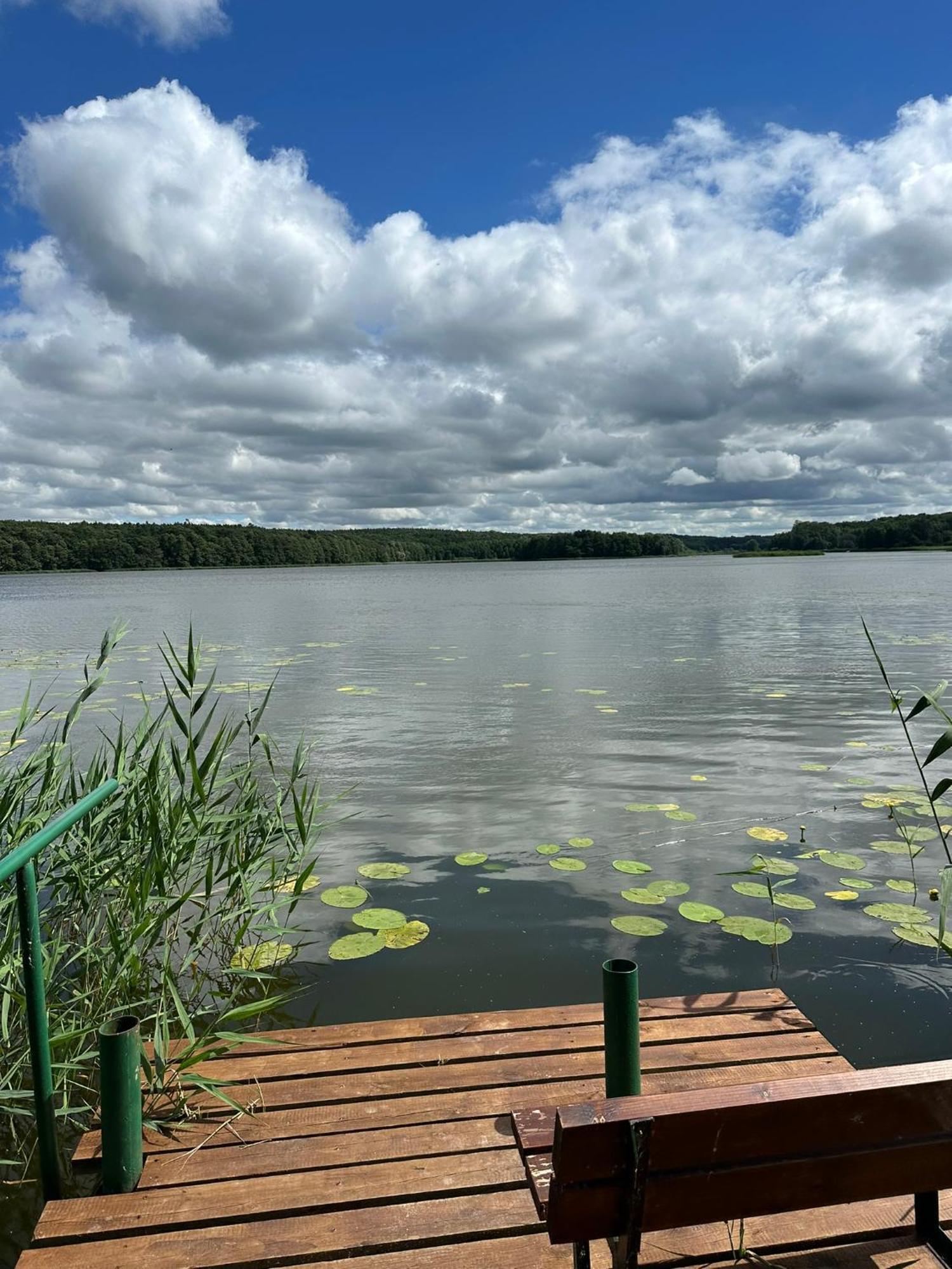 Brzezina Resort - Wille Żnin Eksteriør bilde