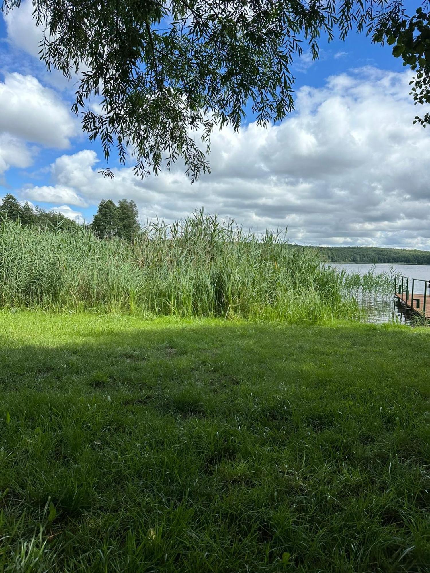 Brzezina Resort - Wille Żnin Eksteriør bilde