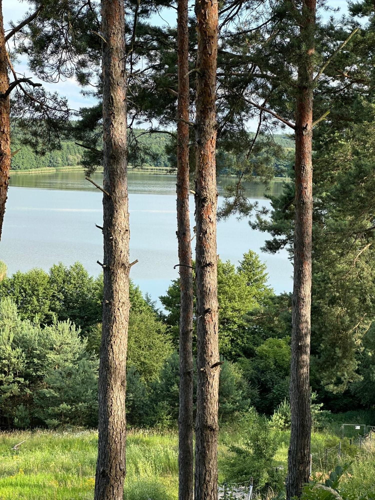 Brzezina Resort - Wille Żnin Eksteriør bilde