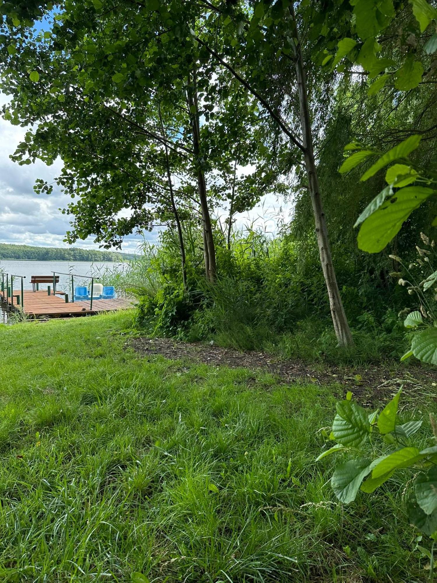 Brzezina Resort - Wille Żnin Eksteriør bilde