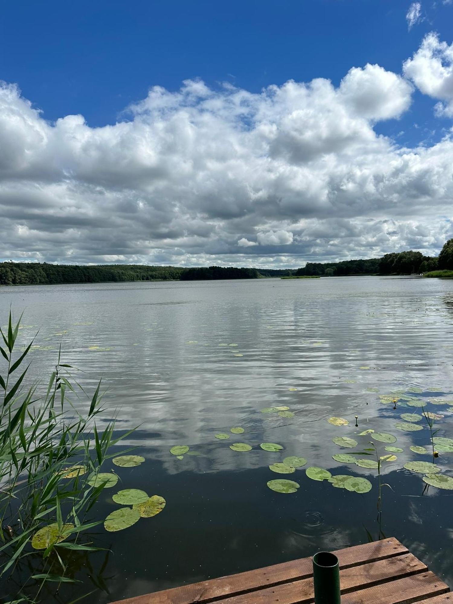 Brzezina Resort - Wille Żnin Eksteriør bilde