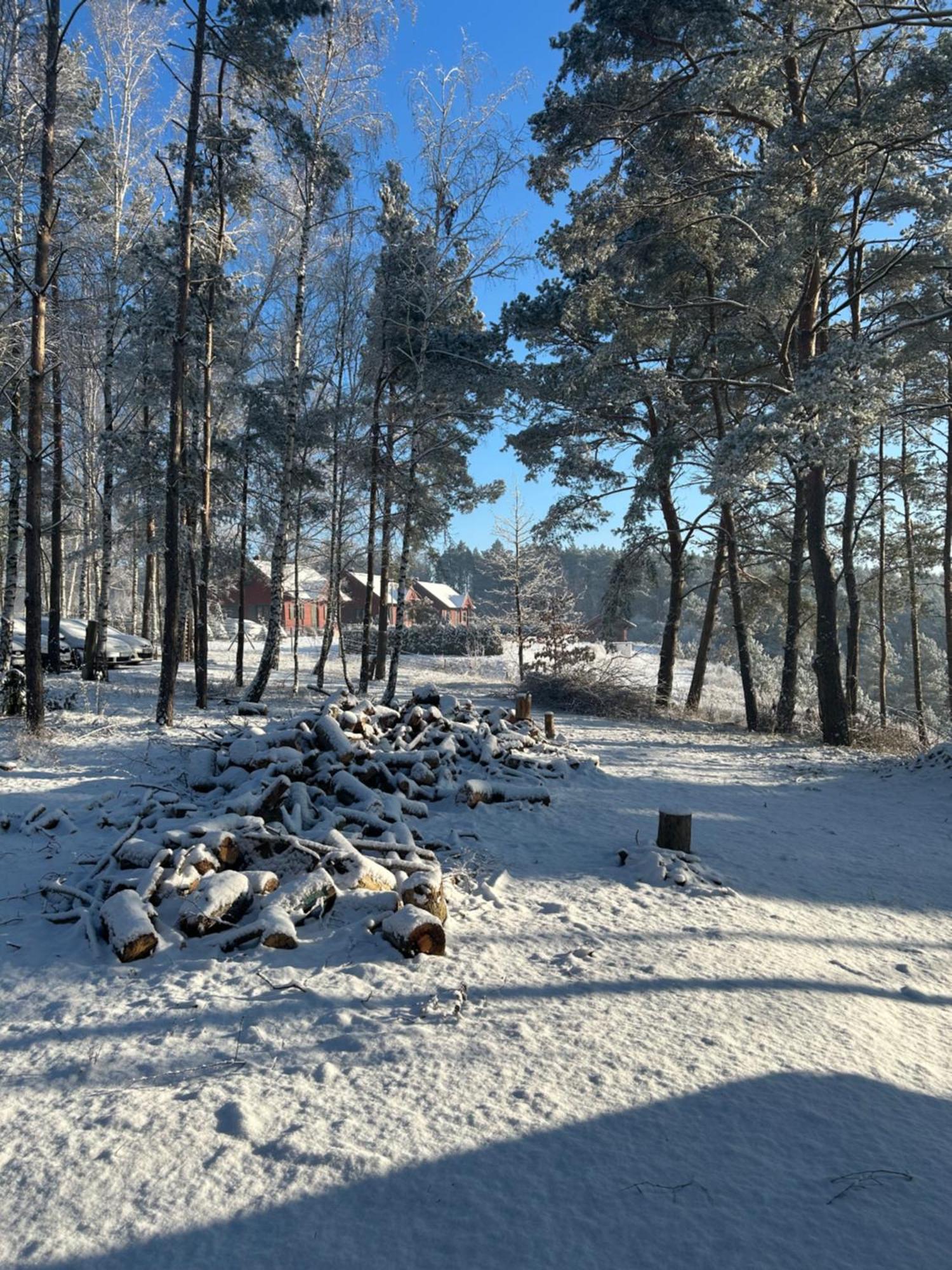 Brzezina Resort - Wille Żnin Eksteriør bilde