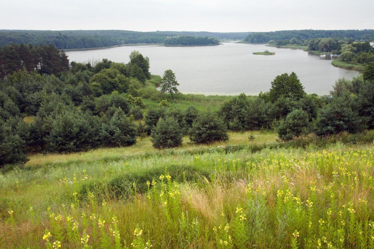 Brzezina Resort - Wille Żnin Eksteriør bilde